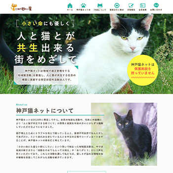 神戸猫ネット